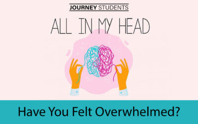 Have You Felt Overwhelmed?