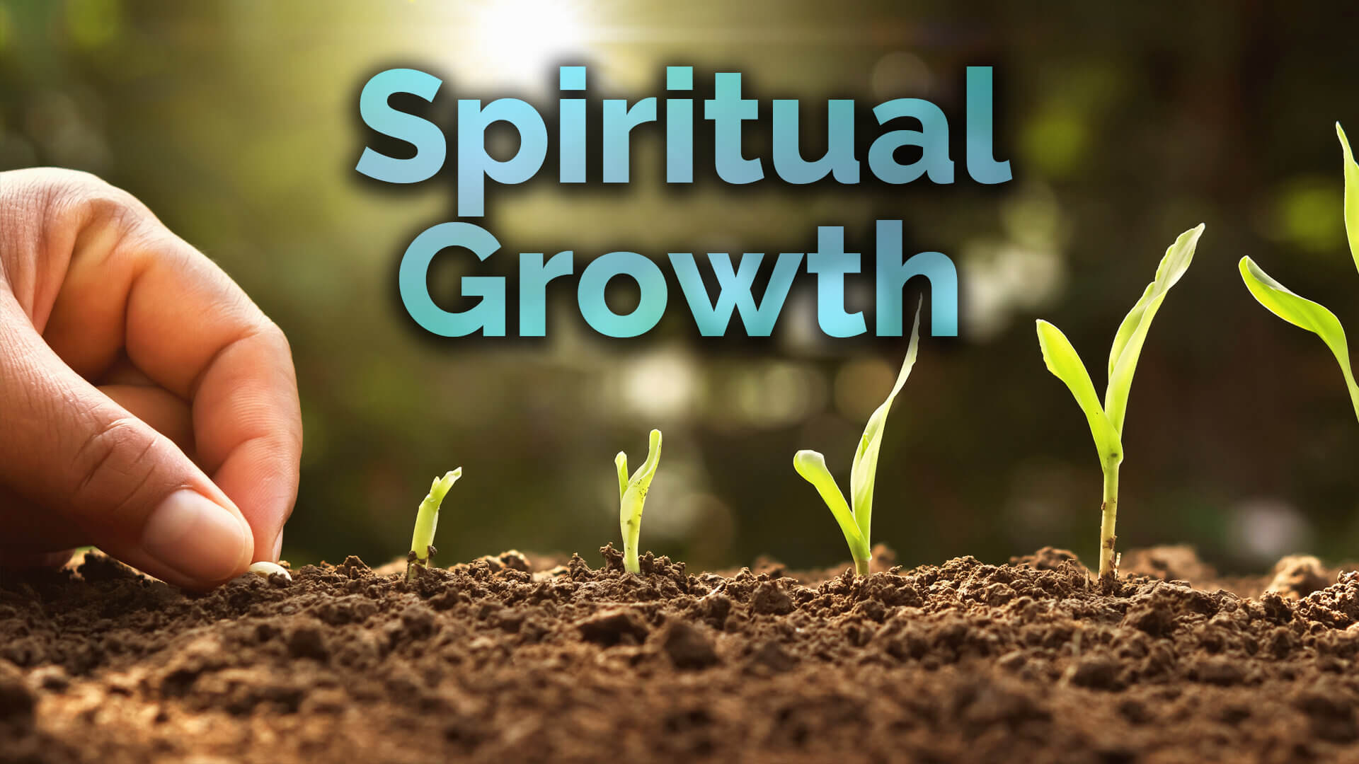 Spiritual Growth - 3 Steps to Grow Closer to God